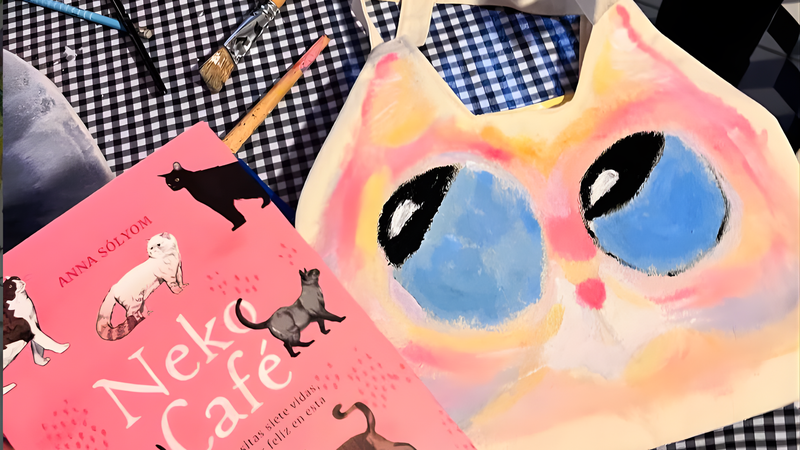 Color Transformation with Cat Bag (1)